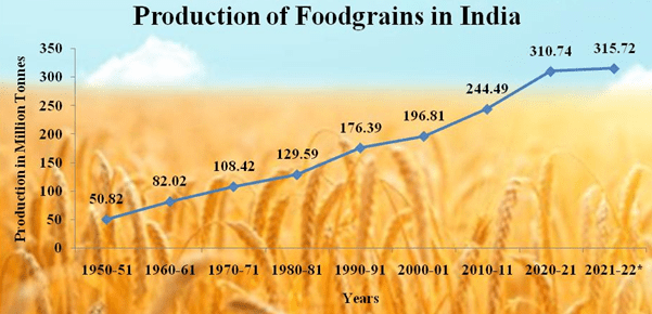 food grain production