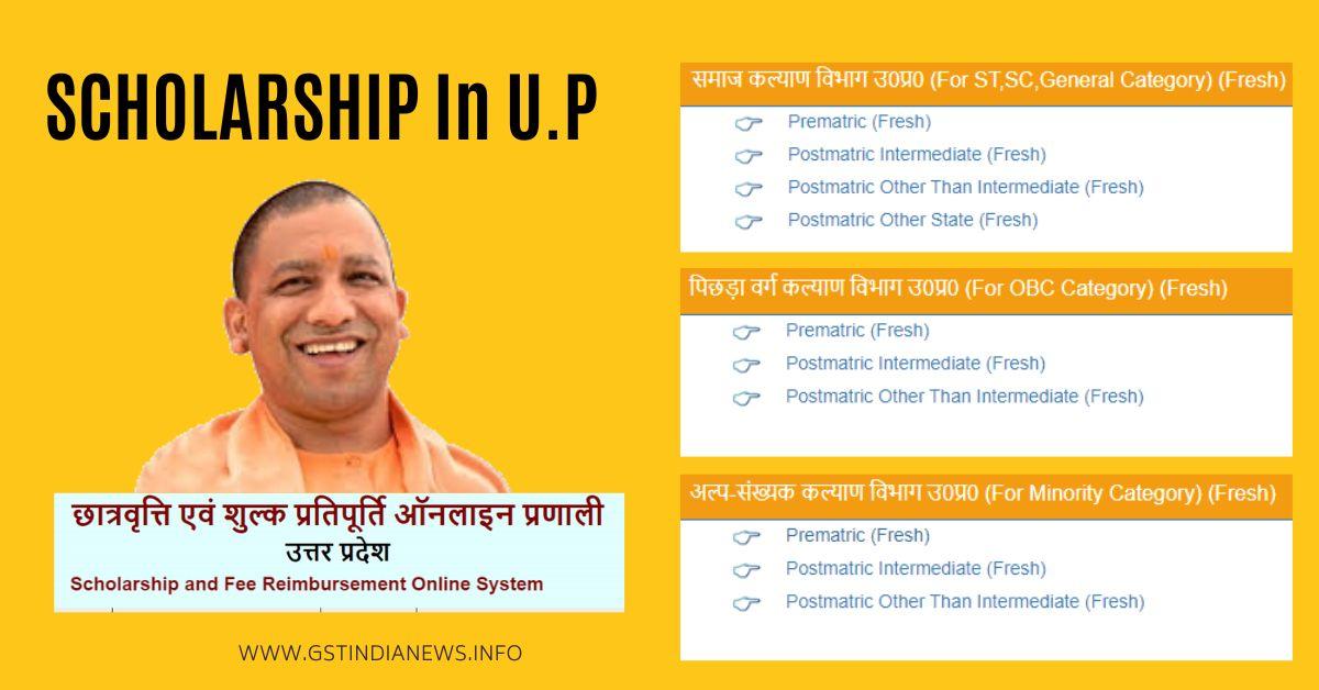 scholarship in up