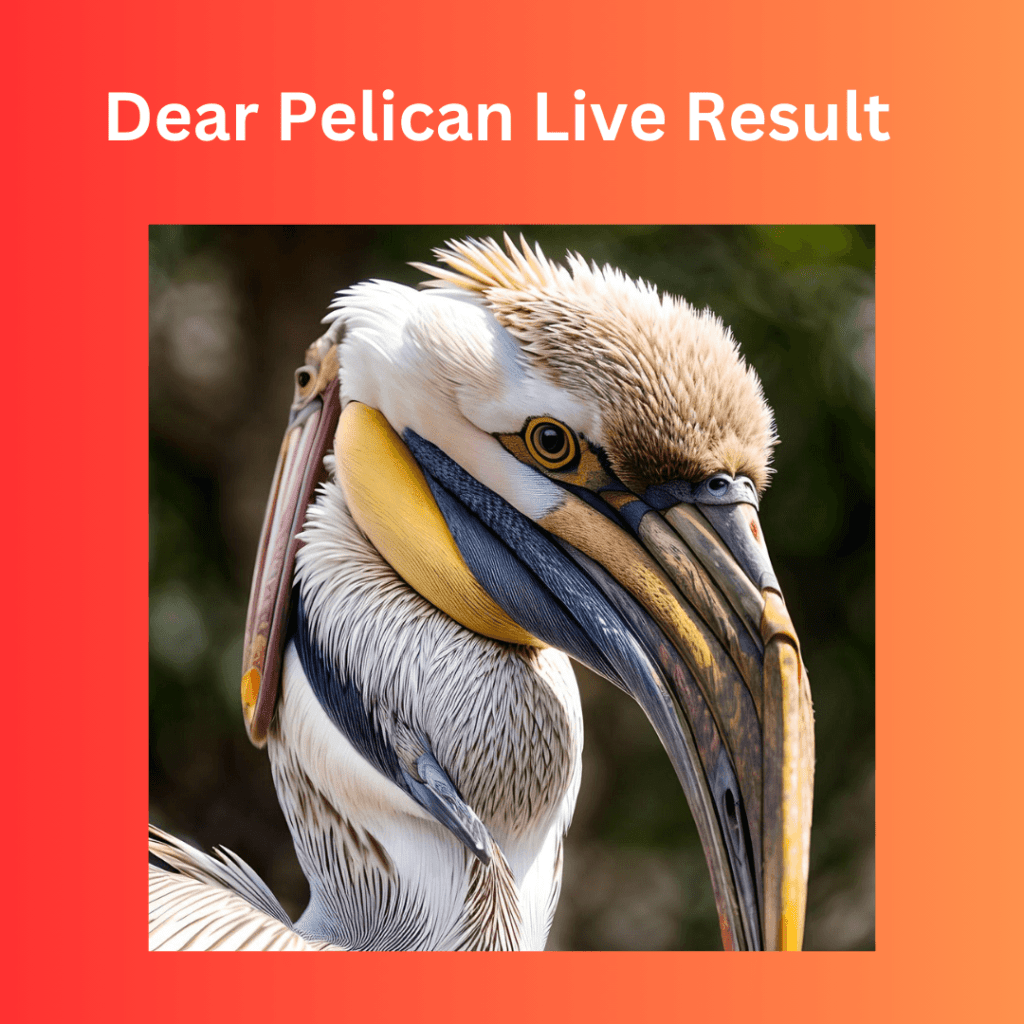 Dear Pelican Wednesday Weekly Lottery Result 8pm