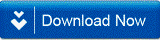 GST invoice download button