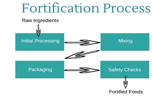 Fortification process of Milk pic